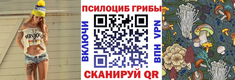 Псилоцибиновые грибы Cubensis  маркетплейс клад  Калач 