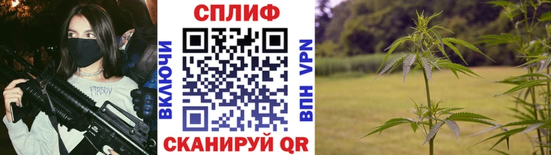 МАРИХУАНА SATIVA & INDICA Калач